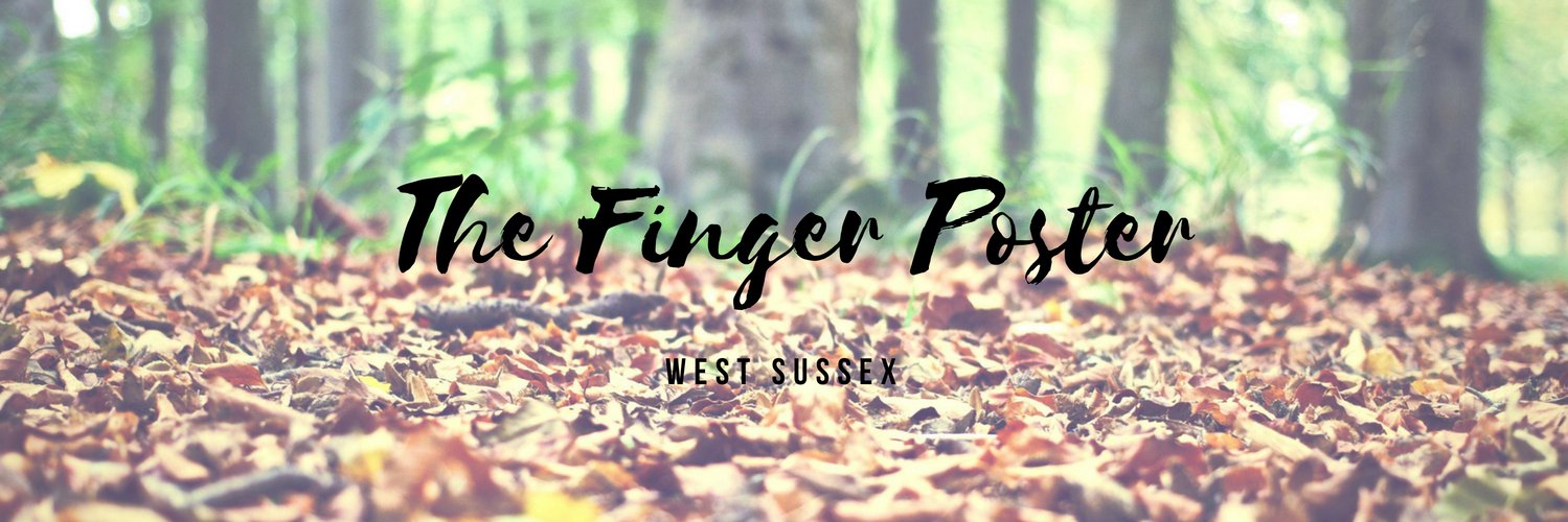 The Finger Poster banner