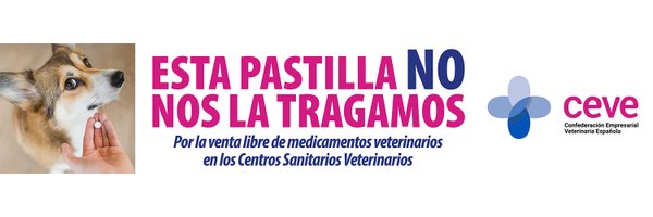 ceve_vet Profile Banner