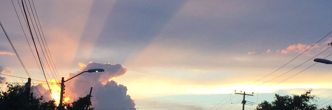 lisnog's profile banner image