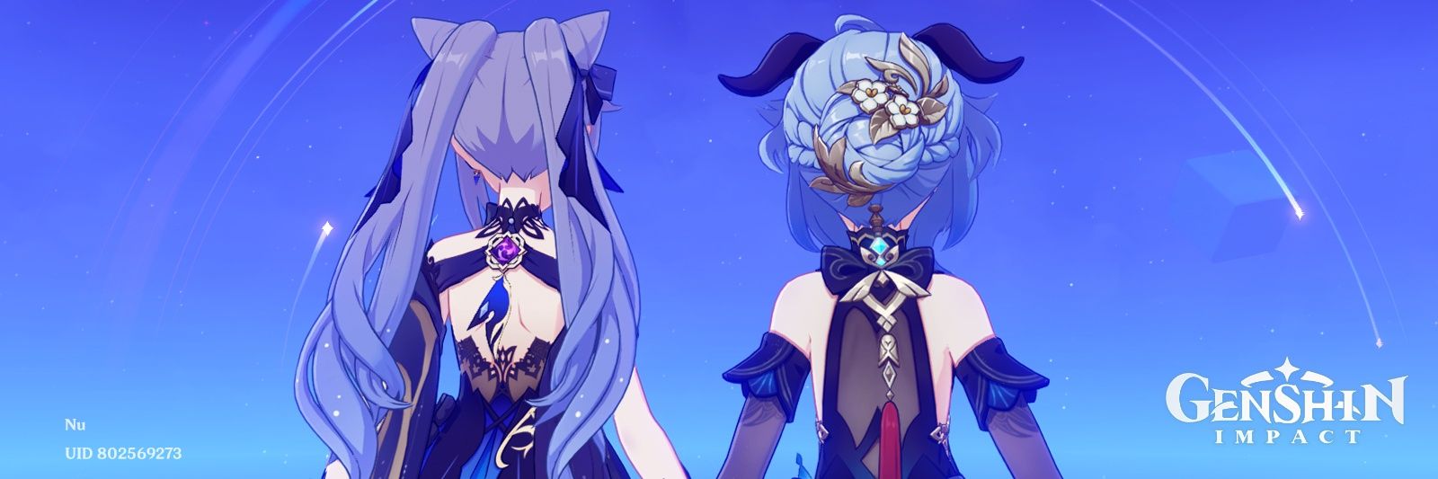nuiznu's profile banner image
