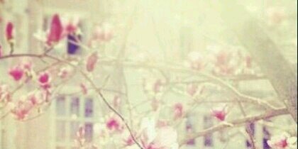 r0_123's profile banner image