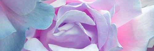 bashleyisabamf's profile banner image