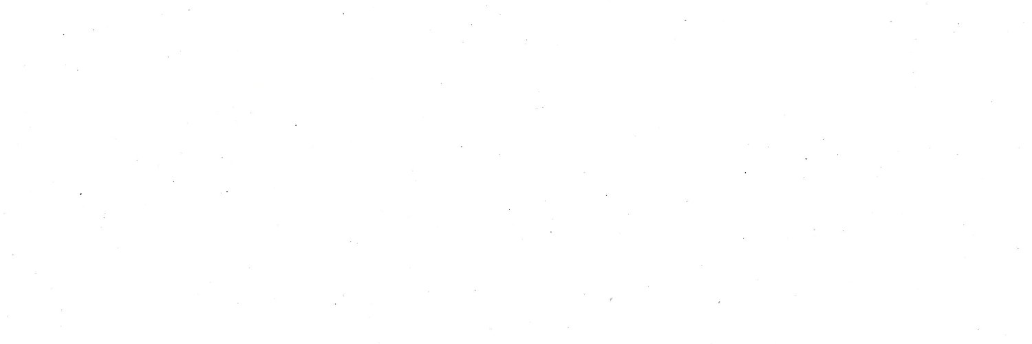 MollyNFTs's profile banner image