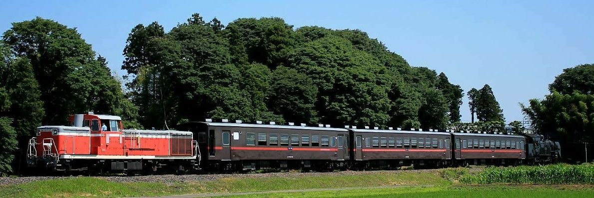 つかましは？ banner