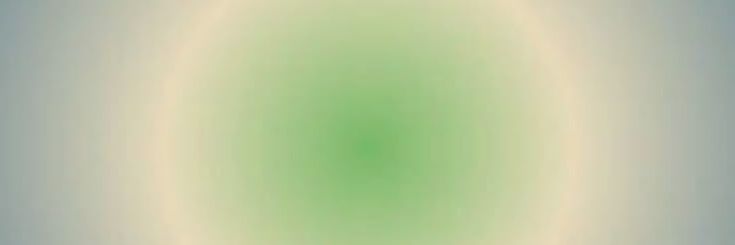 🥑 banner