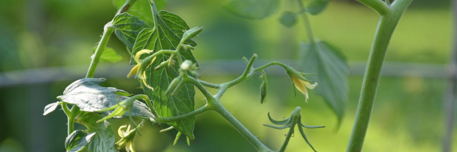 Gregory Paul’s banner