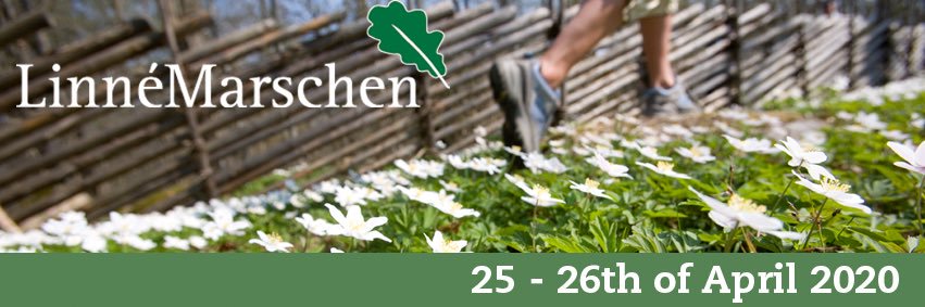 Linnémarschen banner