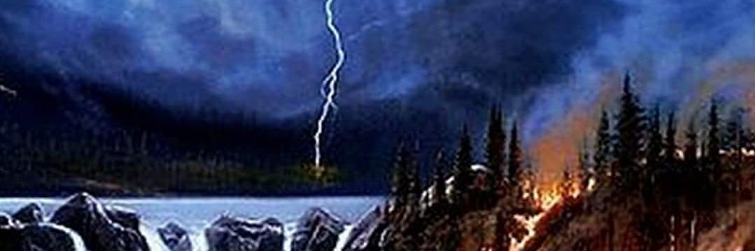 endoviro13's profile banner image