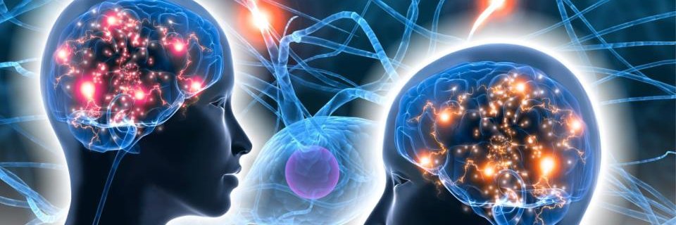 PRISM Brain Map (India) banner