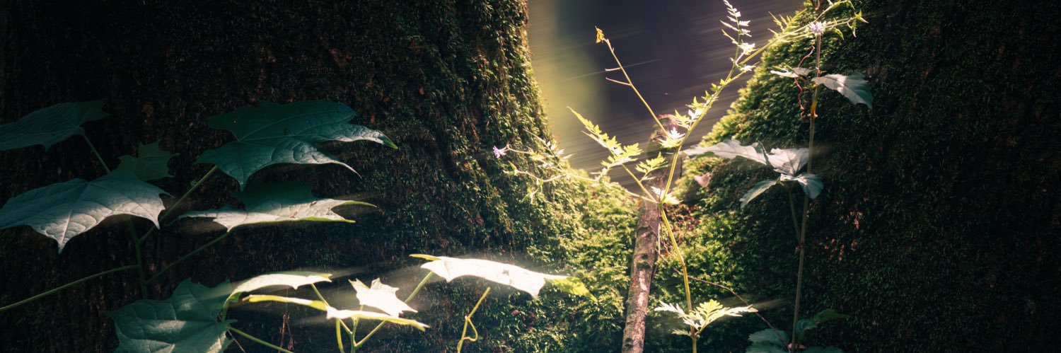 CharlesYaong's profile banner image