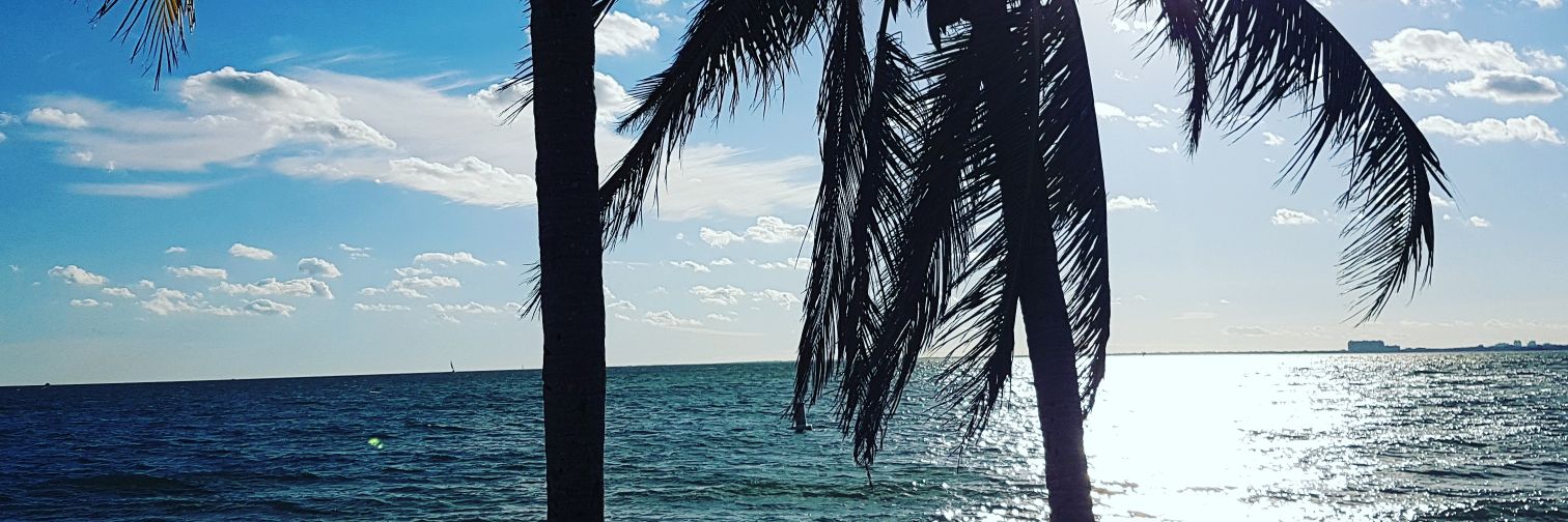 edyrfaciola's profile banner image