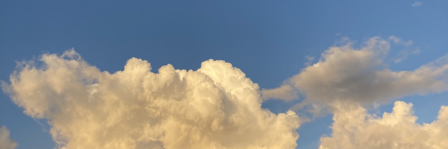 ibonees's profile banner image