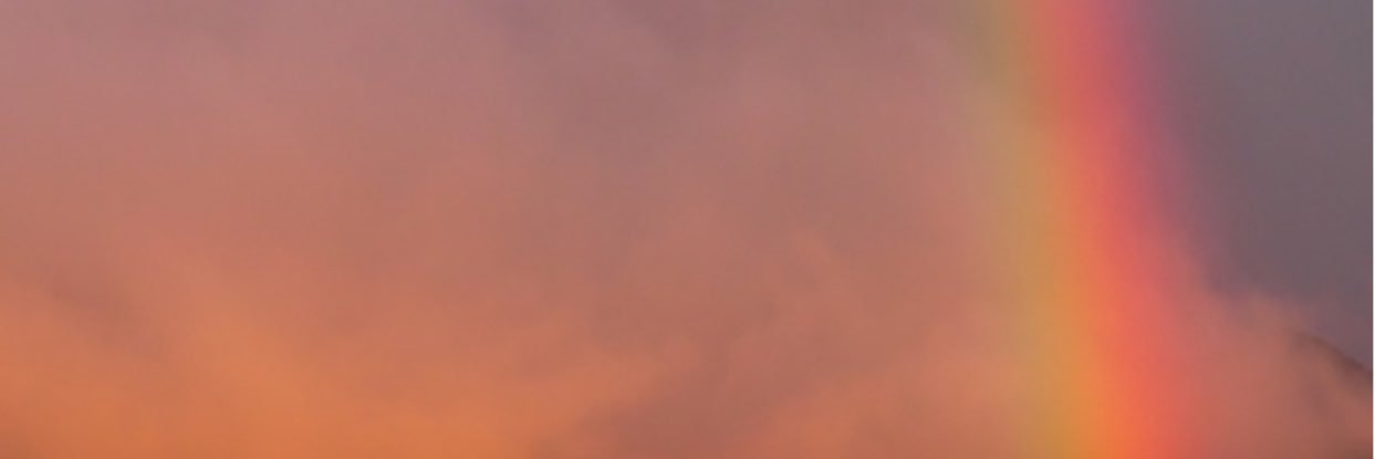 Katya banner