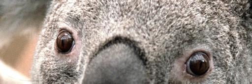 HunterMcHunts's profile banner image