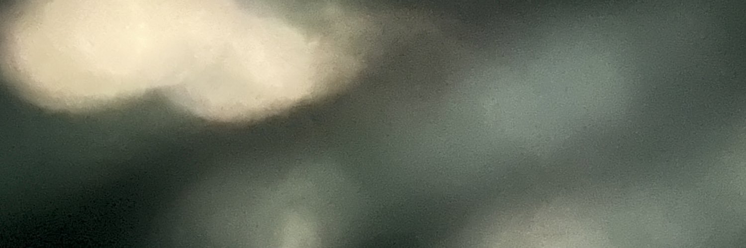 lizzloppp's profile banner image