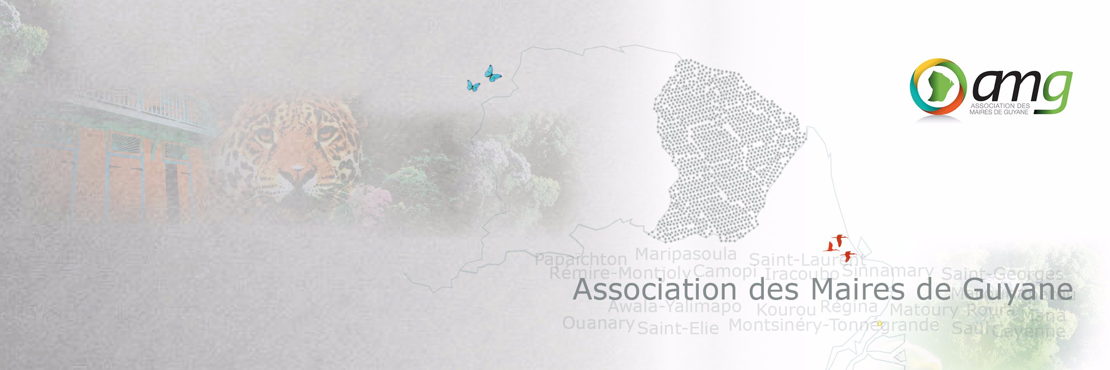 am_guyane's profile banner image