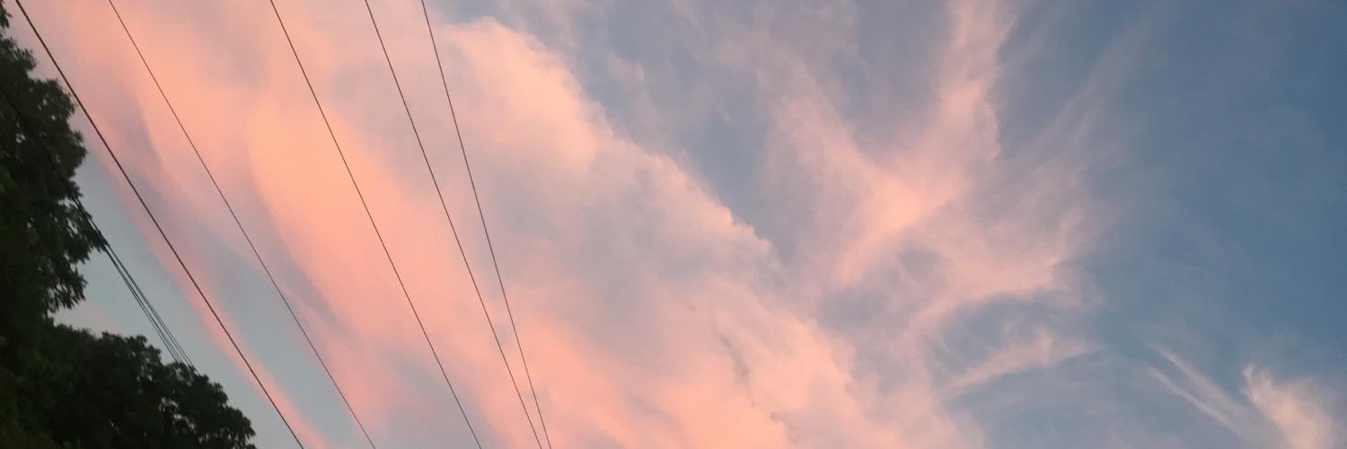 llisabee's profile banner image