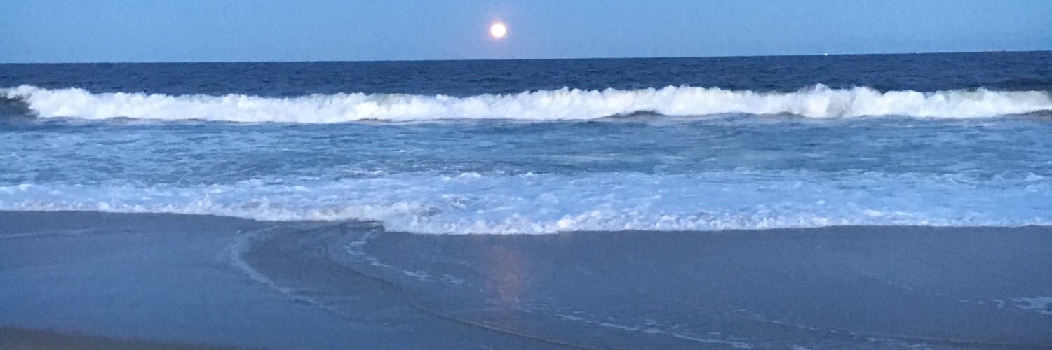 msull1231's profile banner image