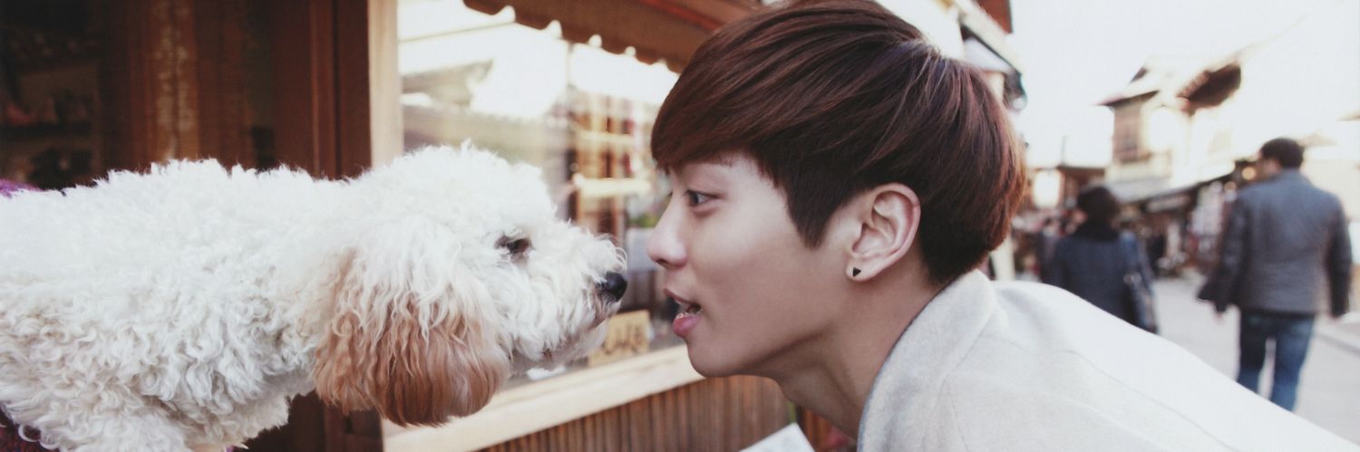 ʕ´•ᴥ•`ʔ banner