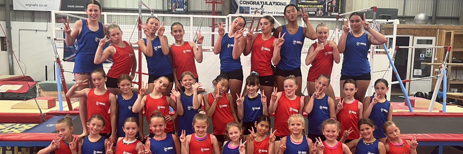 SOUTH DEVON GYM CLUB banner