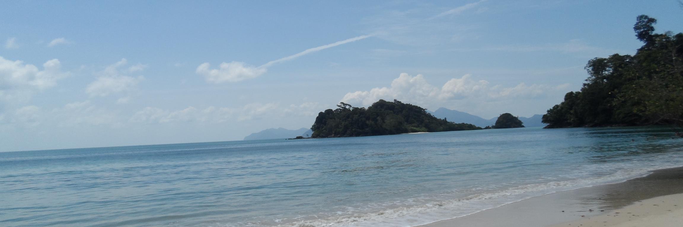 Dr Gabriela Gutierrez-HuerterO banner