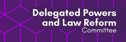 Delegated Powers and Law Reform Committee banner