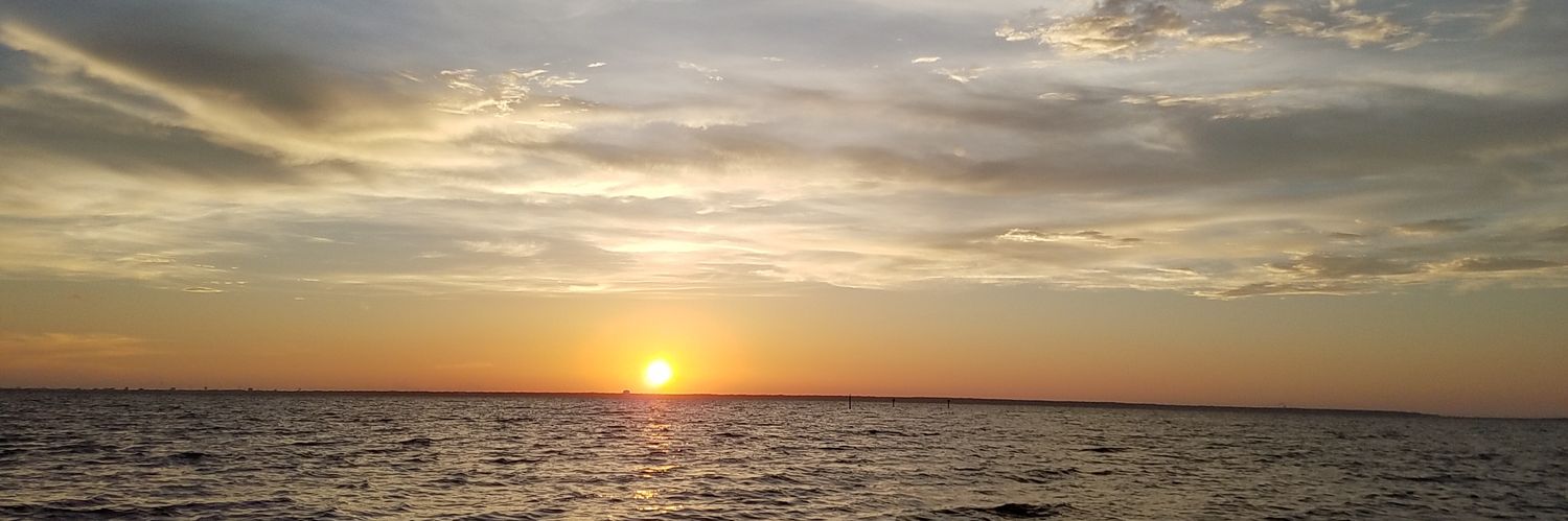 DanaEFrederick3's profile banner image