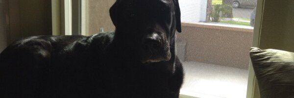 wahooson Profile Banner