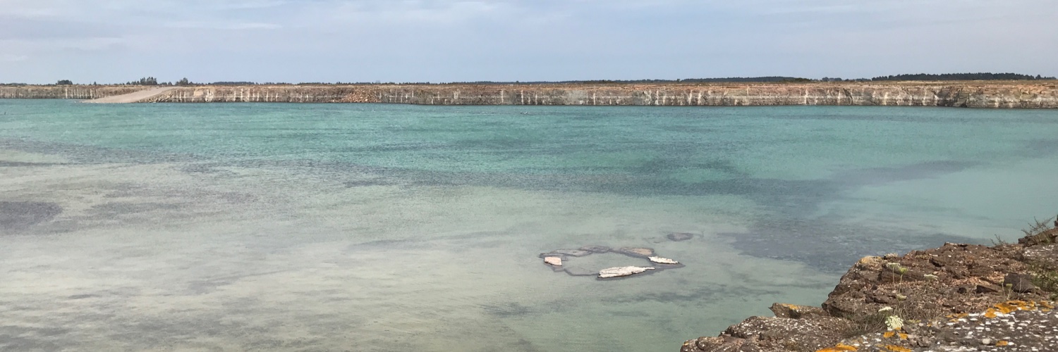 Eva Dillner 🇸🇪 🇺🇸 banner