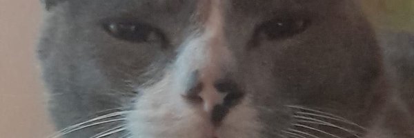 ValeMirandaArce Profile Banner