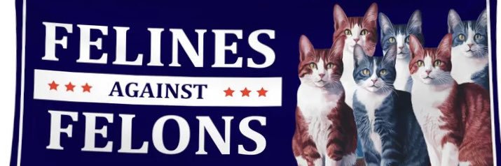 cat_persists's profile banner image