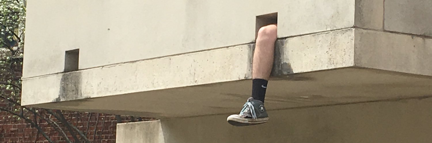 VelvetHotdog's profile banner image