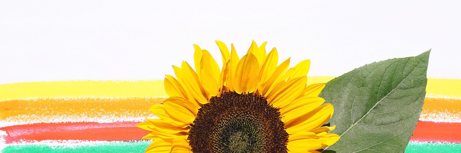 SunnyIntheUkTV's profile banner image