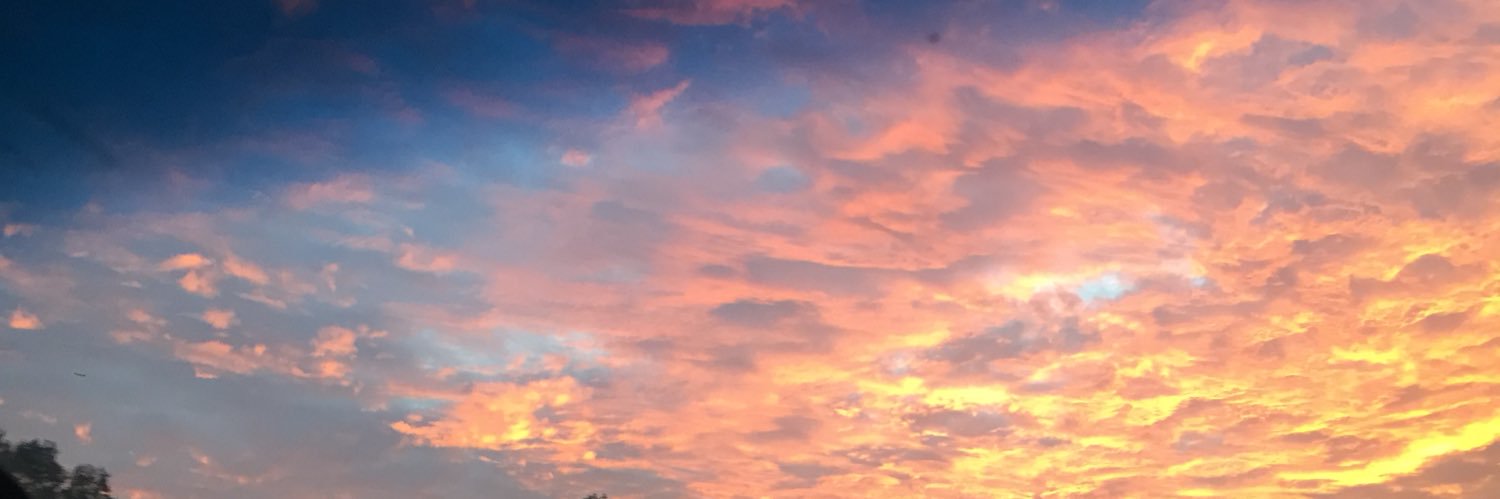 InfamousLos_'s profile banner image