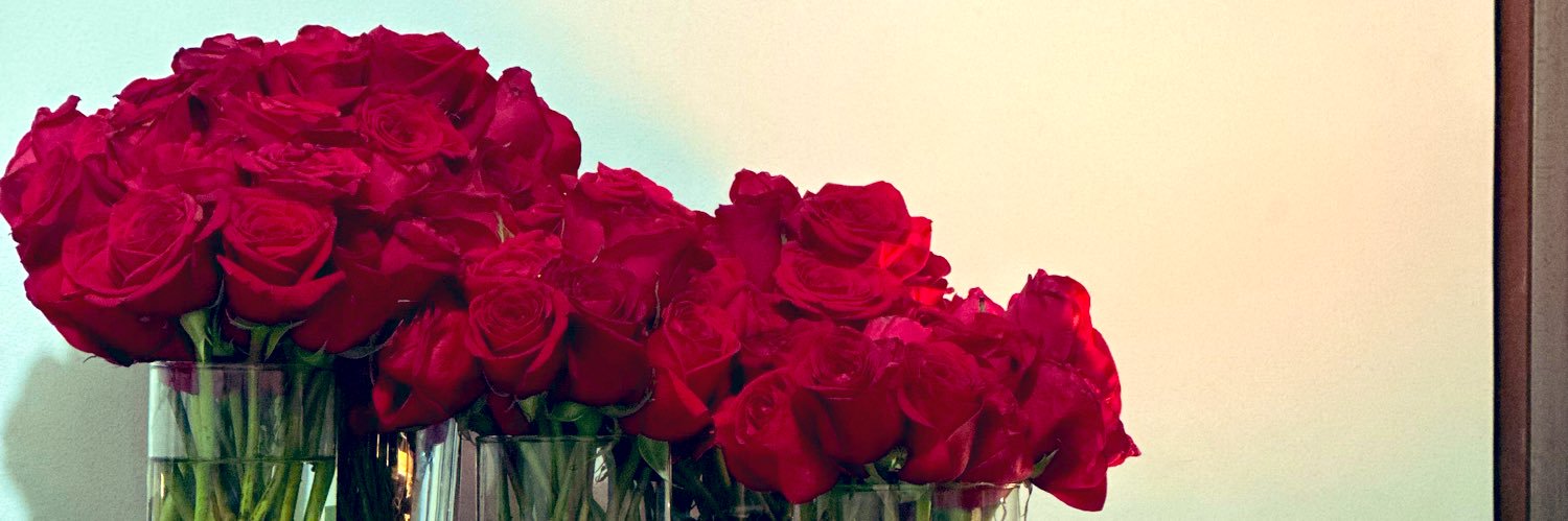 Beatriz Rodríguez banner