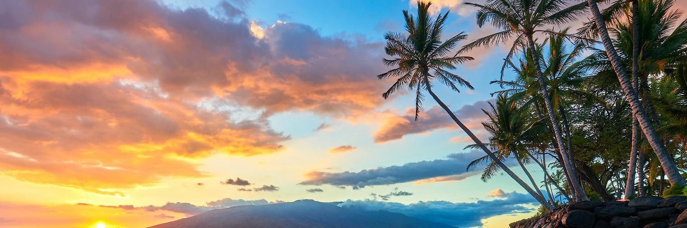 Colleen Brzozowski CIS, CITP banner