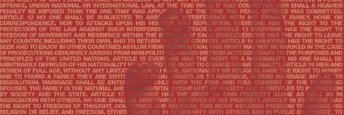 Canadian Journal of Human Rights banner