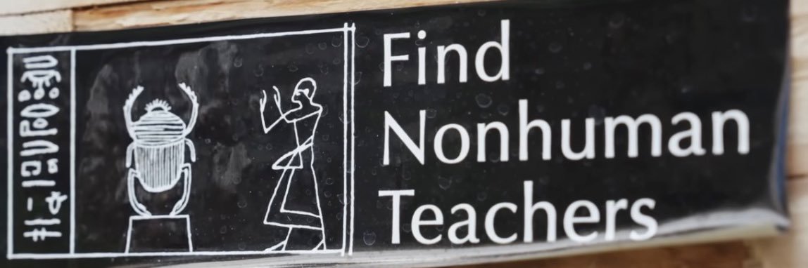 Hermanastra🪽 banner