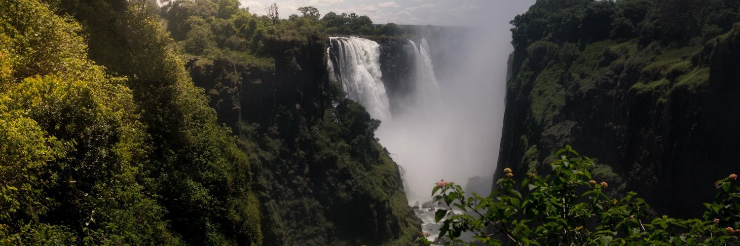 Dr. Trishula Rachna Patel banner