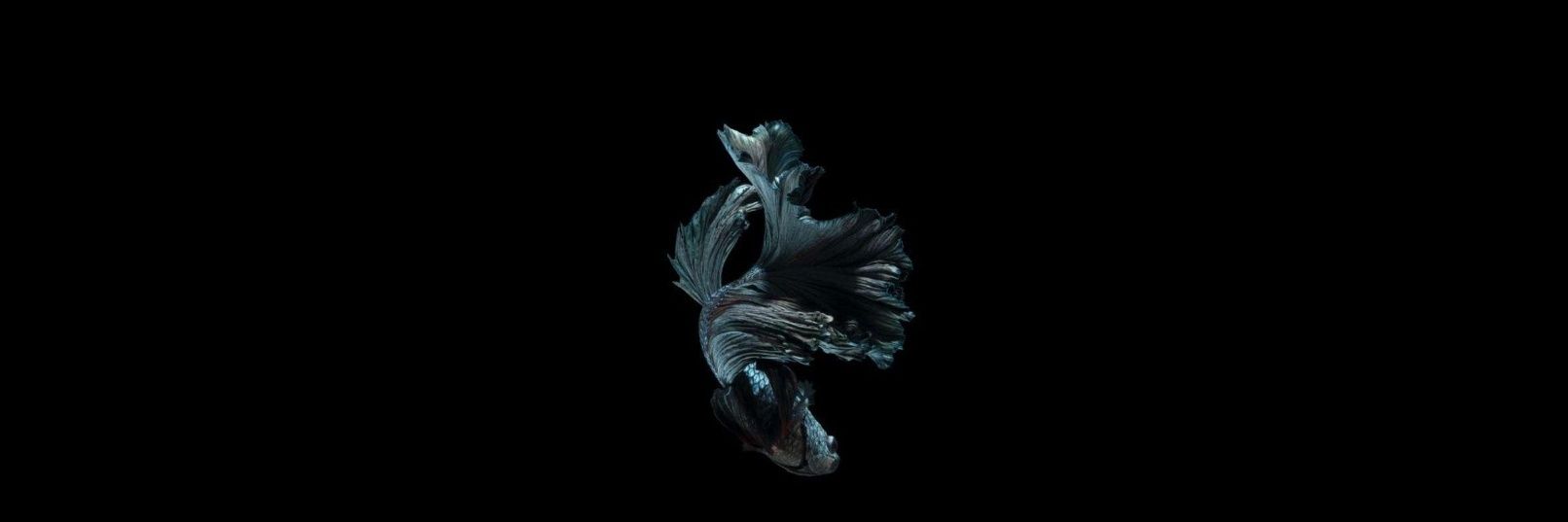 bycnct's profile banner image