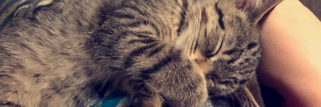 LindseTheaker's profile banner image