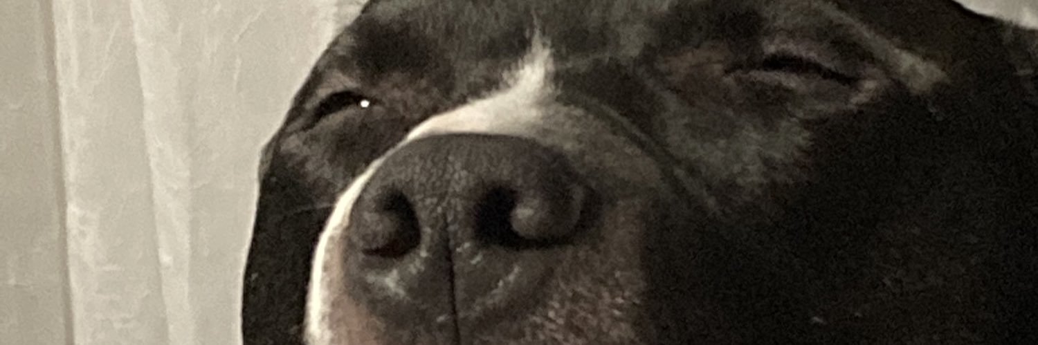 CayleenMurphy's profile banner image