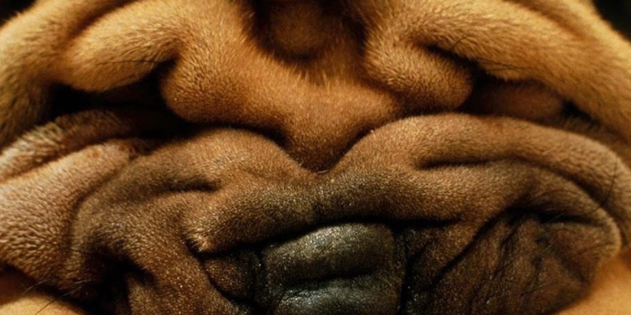 RaffSLim's profile banner image