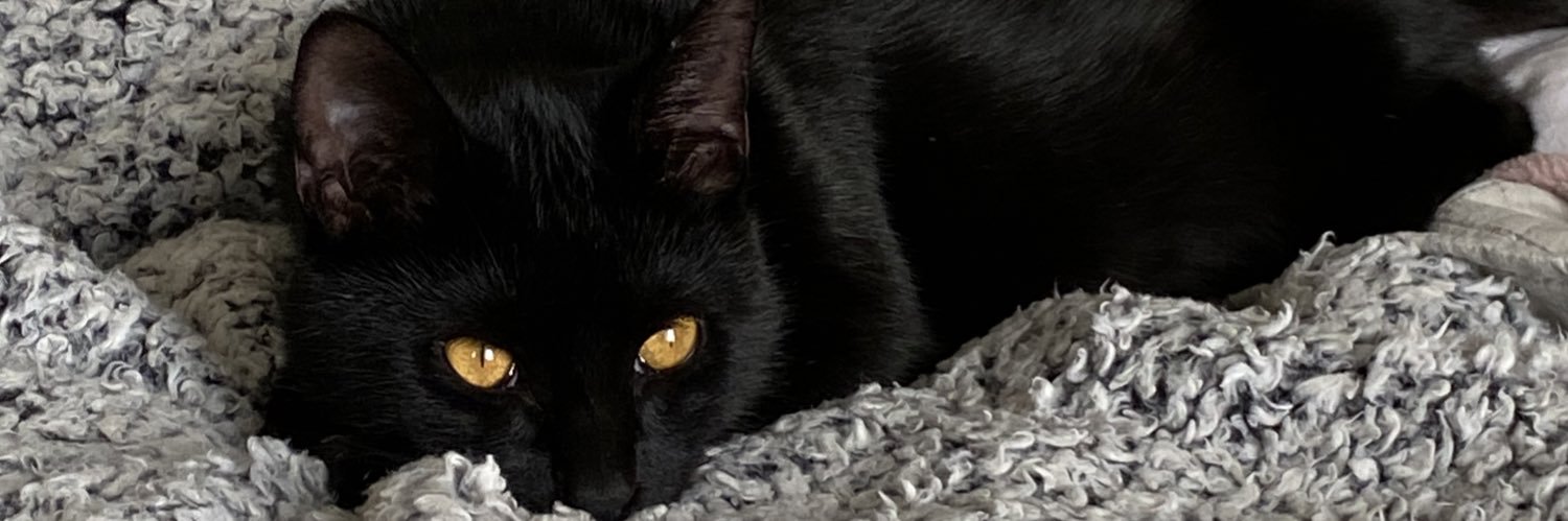 delustariz's profile banner image