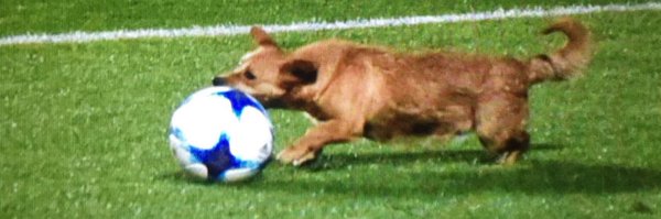 mgoldbart Profile Banner