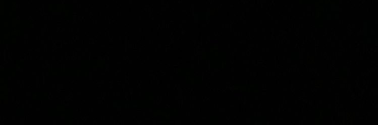 MarianaMiros's profile banner image