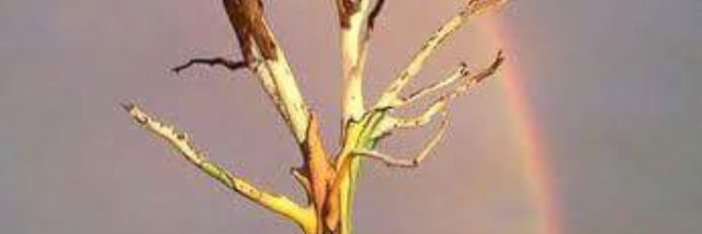 Tucker Hagedorn banner