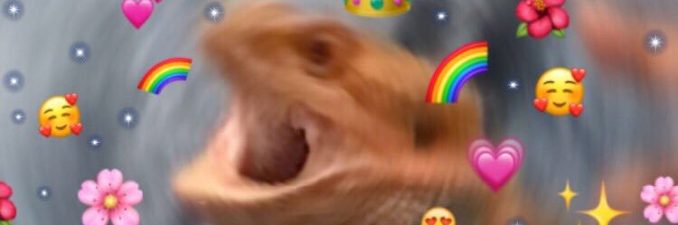 Paigeeeesoren's profile banner image