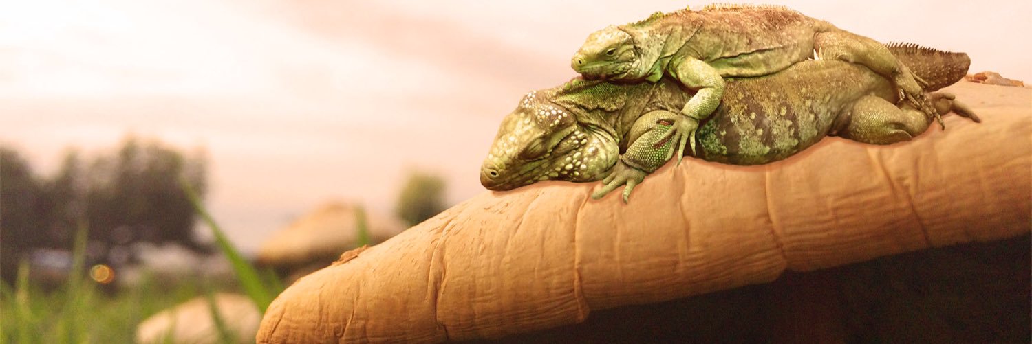 chupacabra821's profile banner image