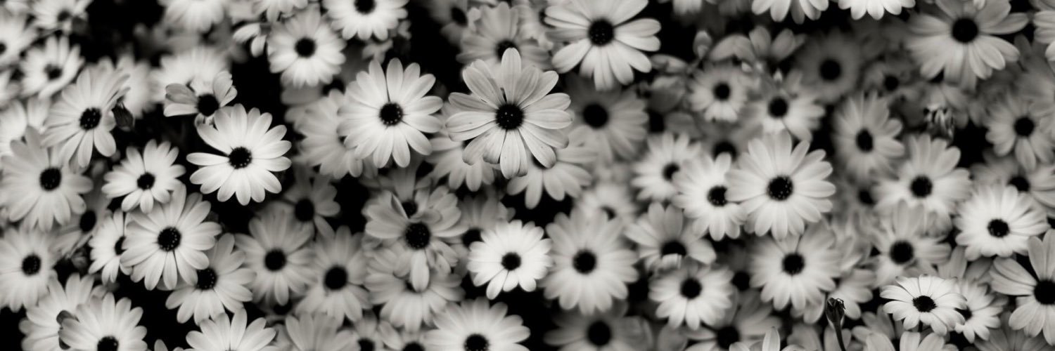 gigisora π²(❖,❖) banner